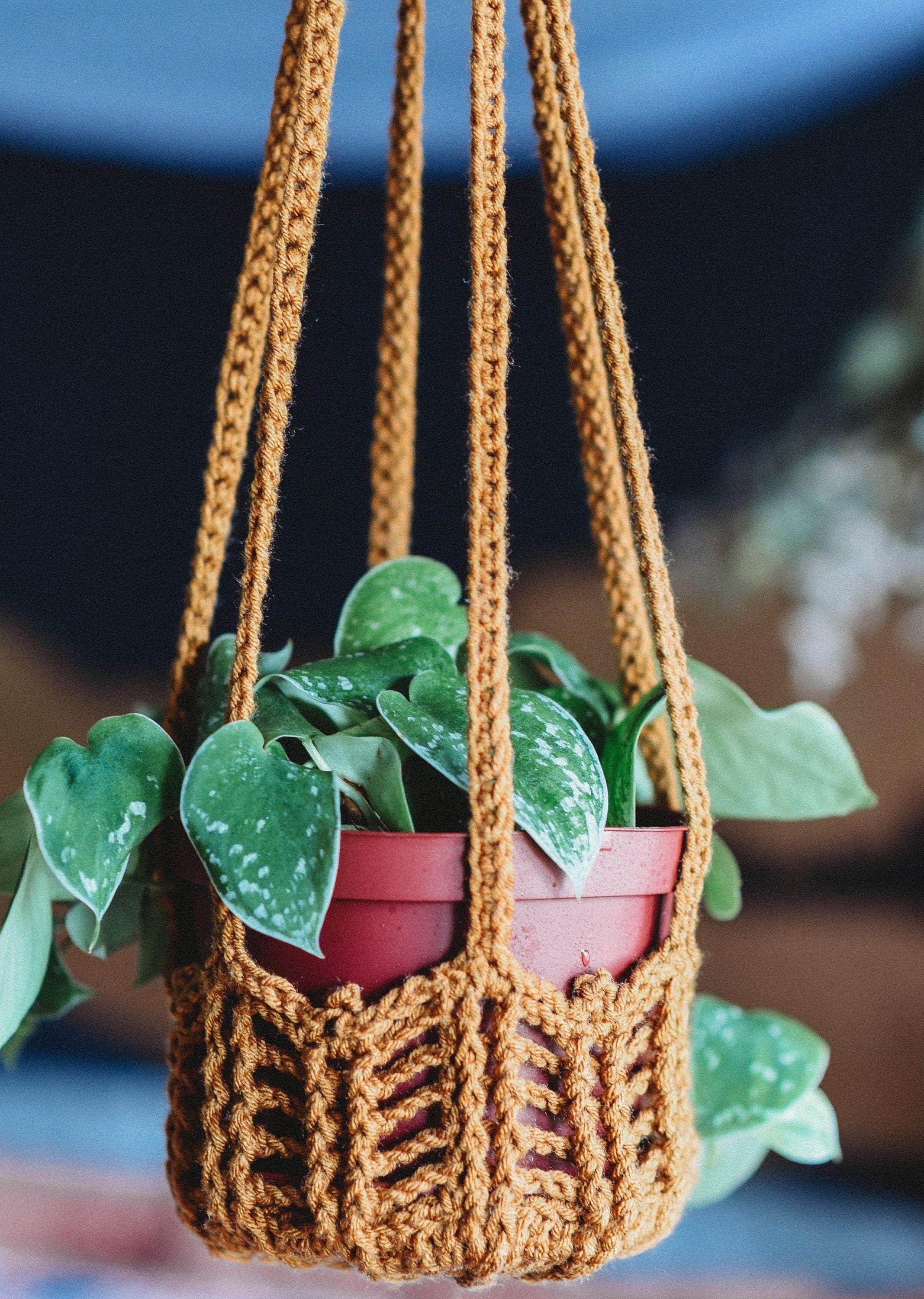 Image of Crocheted Plant Hanger