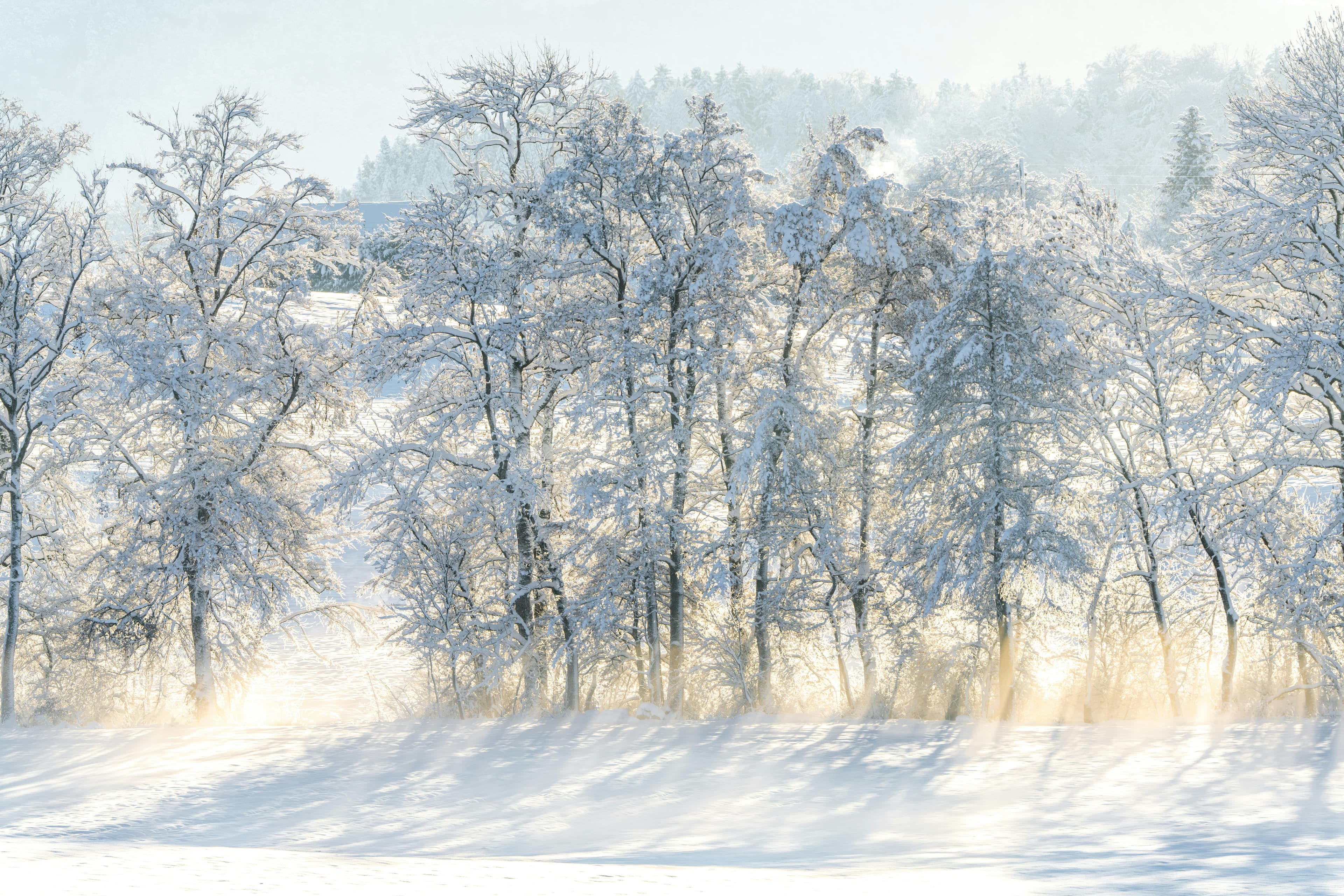 Image of Cold weather