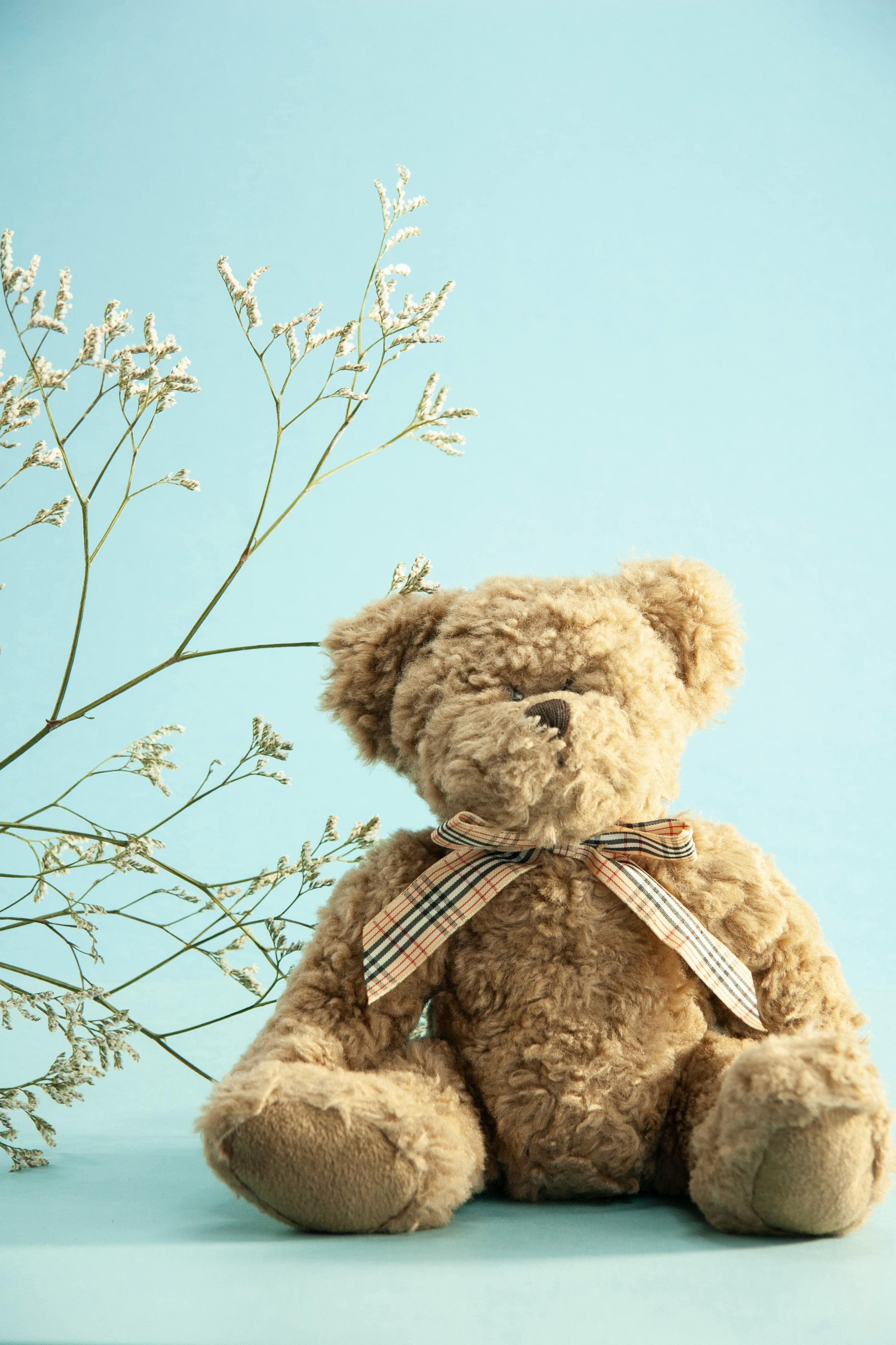 Image of Teddy bear