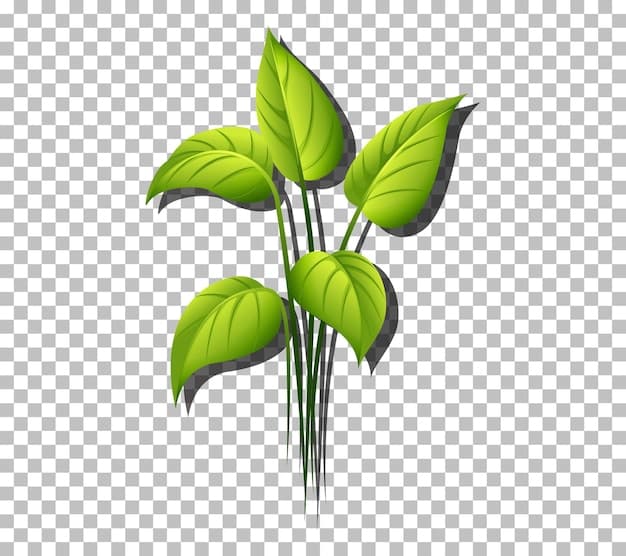 Image of Milagros_ TEST [UPDATE]